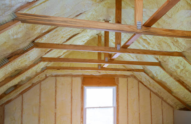 Best Insulation Installation Services in Desoto Lakes, FL