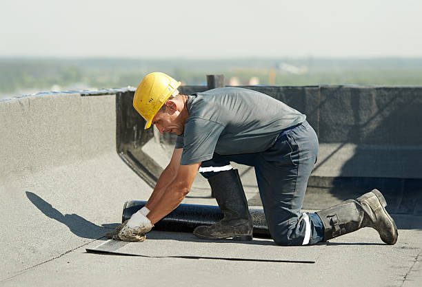 Best Energy Efficiency Solutions in Desoto Lakes, FL