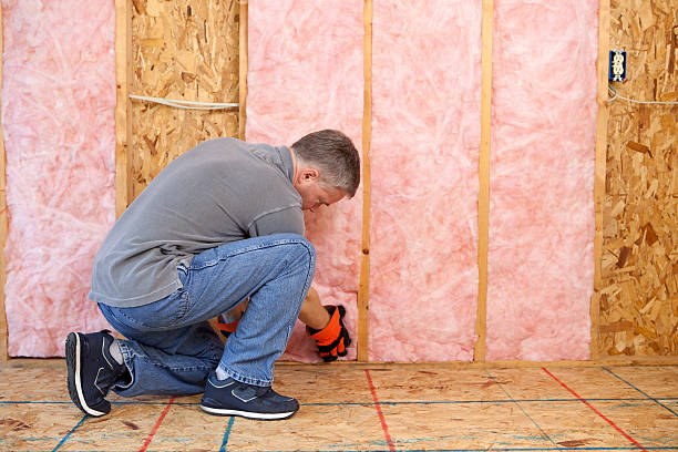Best Insulation for Specific Applications in Desoto Lakes, FL